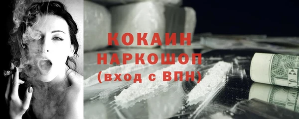 apvp Гатчина