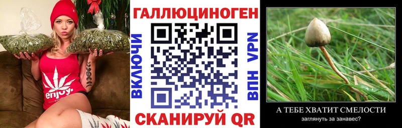 Галлюциногенные грибы Magic Shrooms  Жигулёвск 